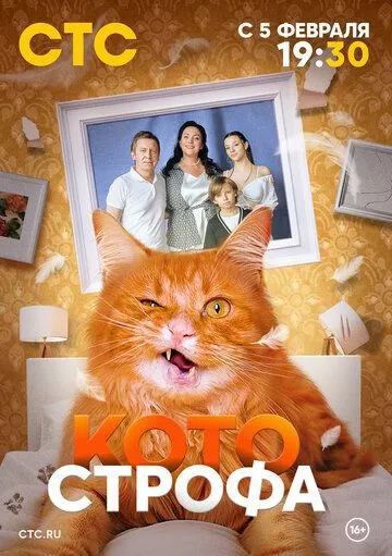 Котострофа (2023-2025)